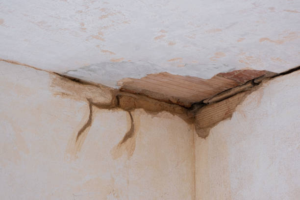 Best Ceiling water damage repair  in Overlea, MD