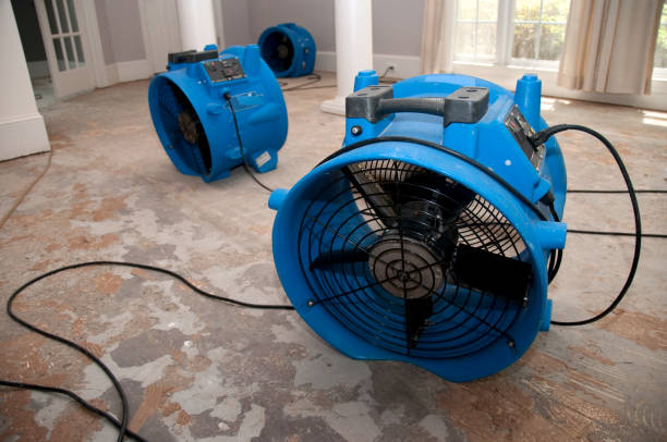 Best Basement water damage restoration  in Overlea, MD