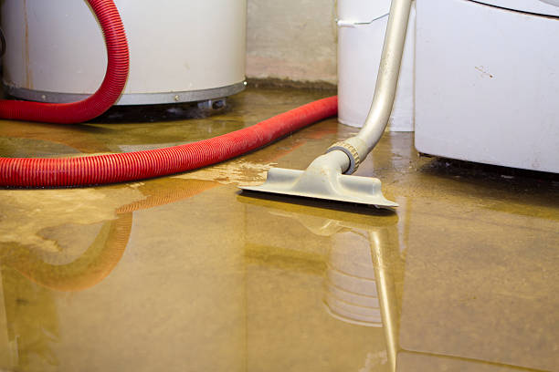 Best Carpet water damage restoration  in Overlea, MD