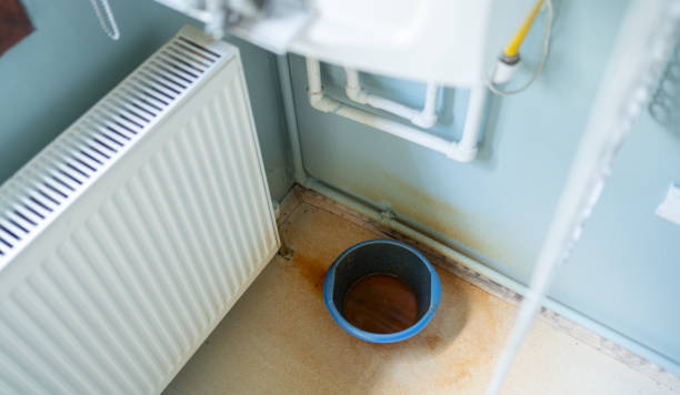 Best Flood restoration services  in Overlea, MD